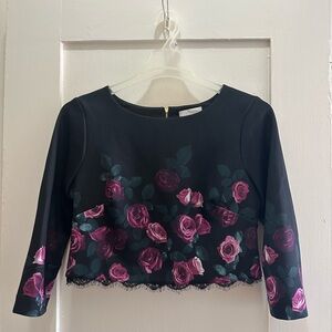 NWT Anthropologie Rose Blouse Size 10